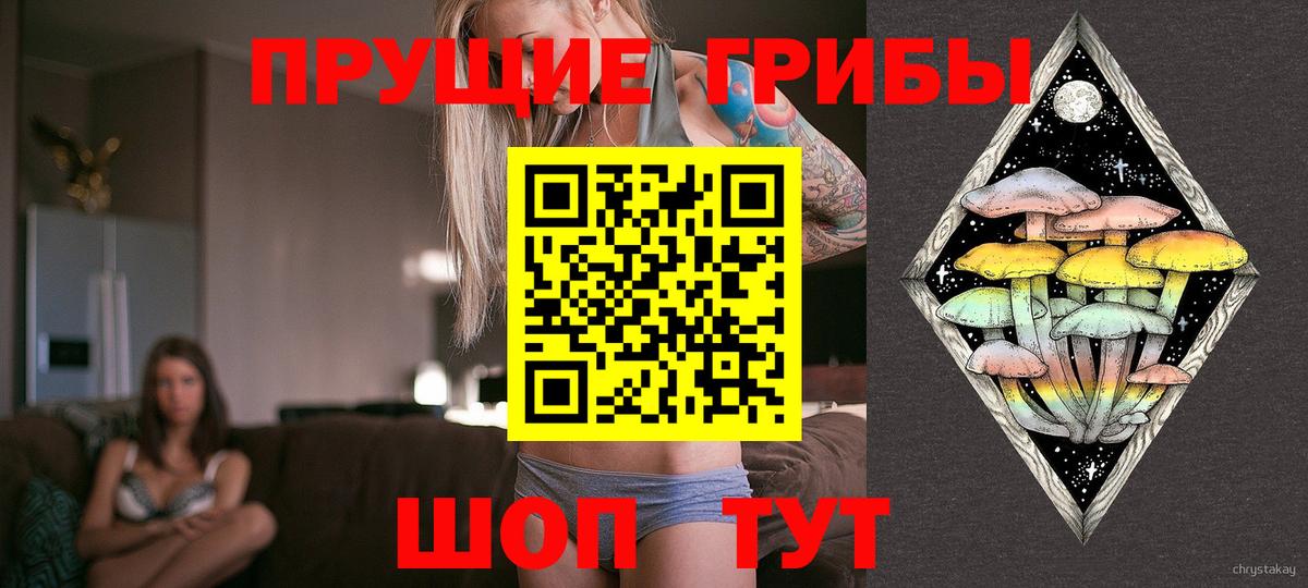 Зерноград  Псилоцибиновые грибы Psilocybine cubensis  Вход с VPN  Галлюциногенные грибы MAGIC MUSHROOMS 