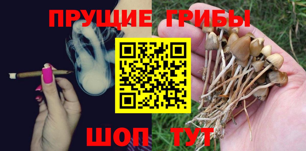 Псилоцибиновые грибы мицелий Зерноград